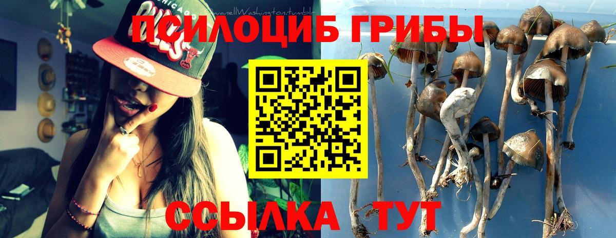 Псилоцибиновые грибы мухоморы Тавда